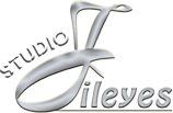 Studio Jileyes